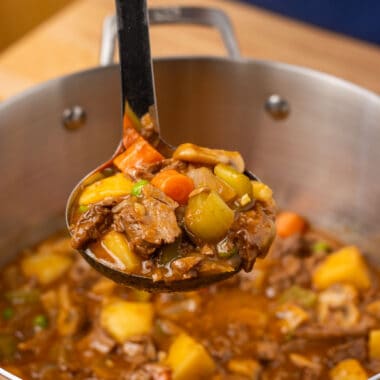 a ladle full of vegan beef stew