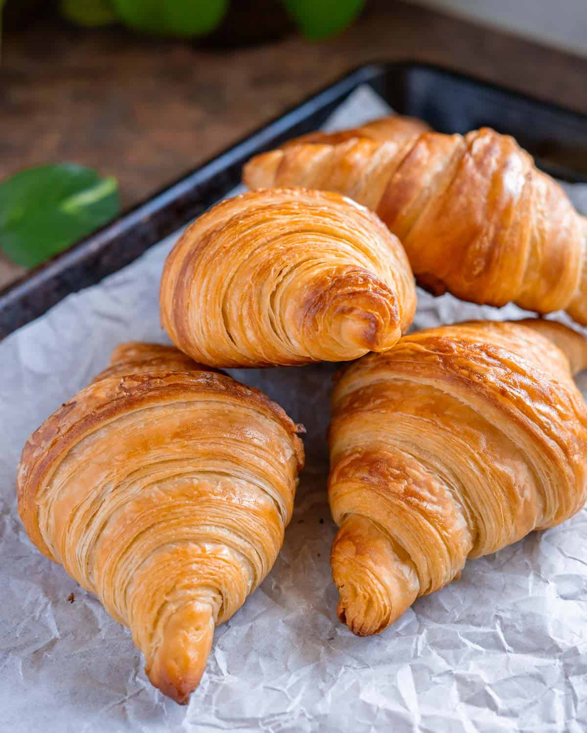 four freshly baked vegan croissants on a parchment-lined baking tray