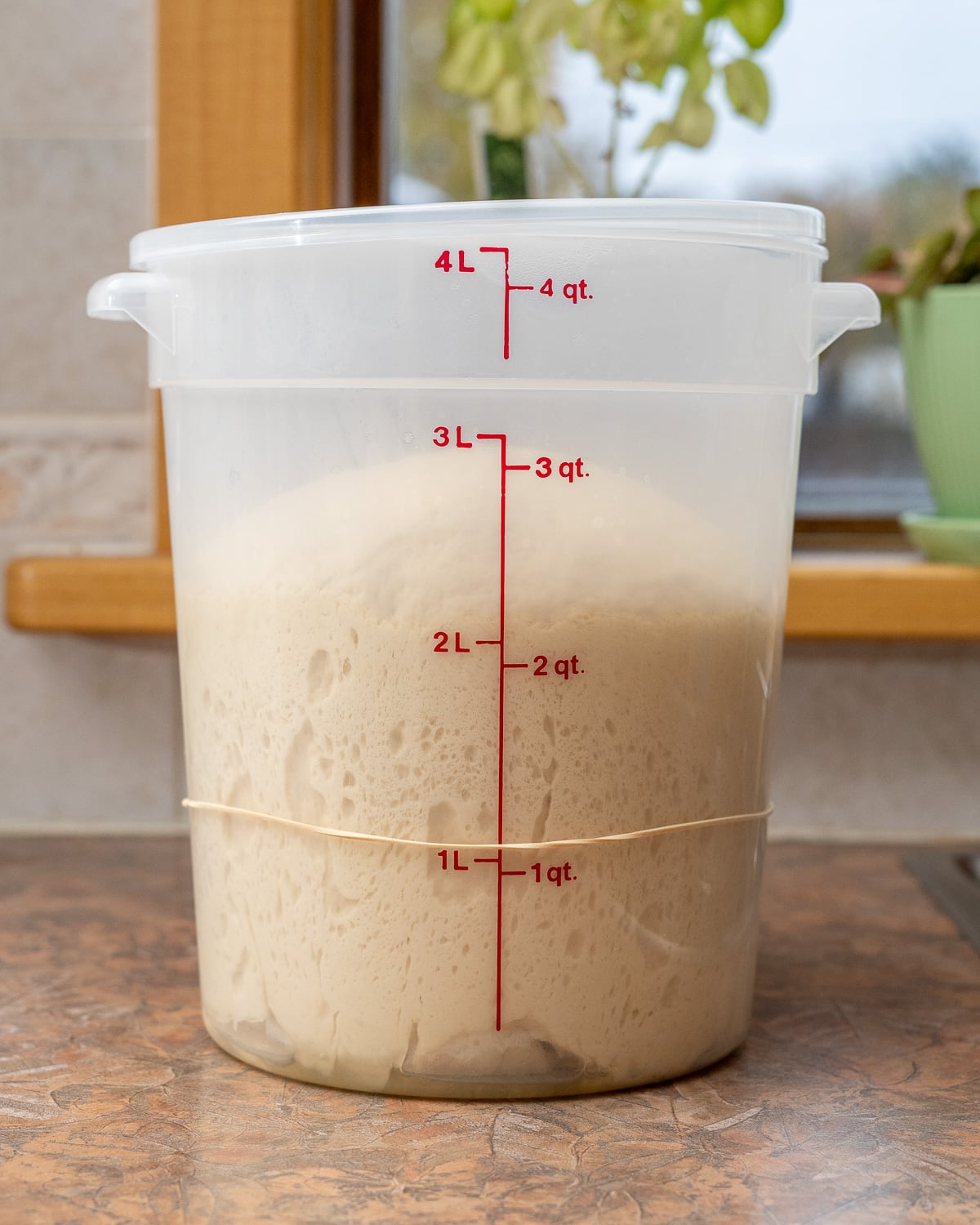 Dinner roll dough after rising