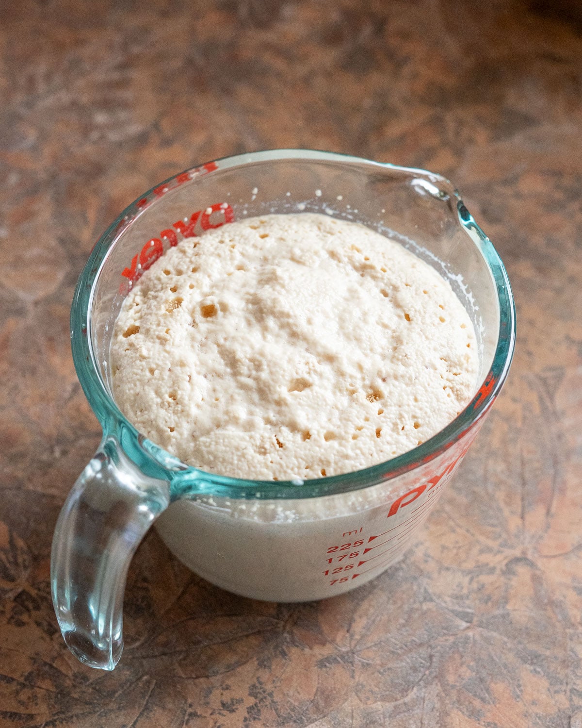 Proofed foamy yeast