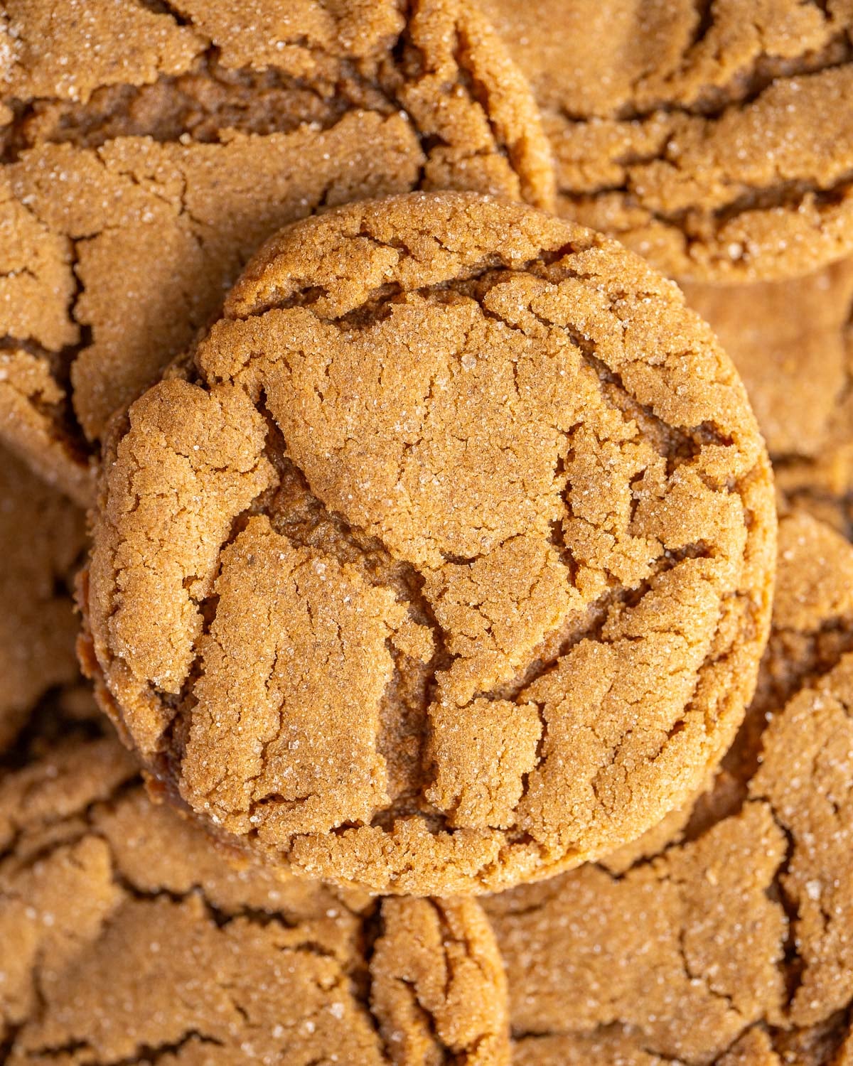 closeup of ginger molasses cookie to show texture