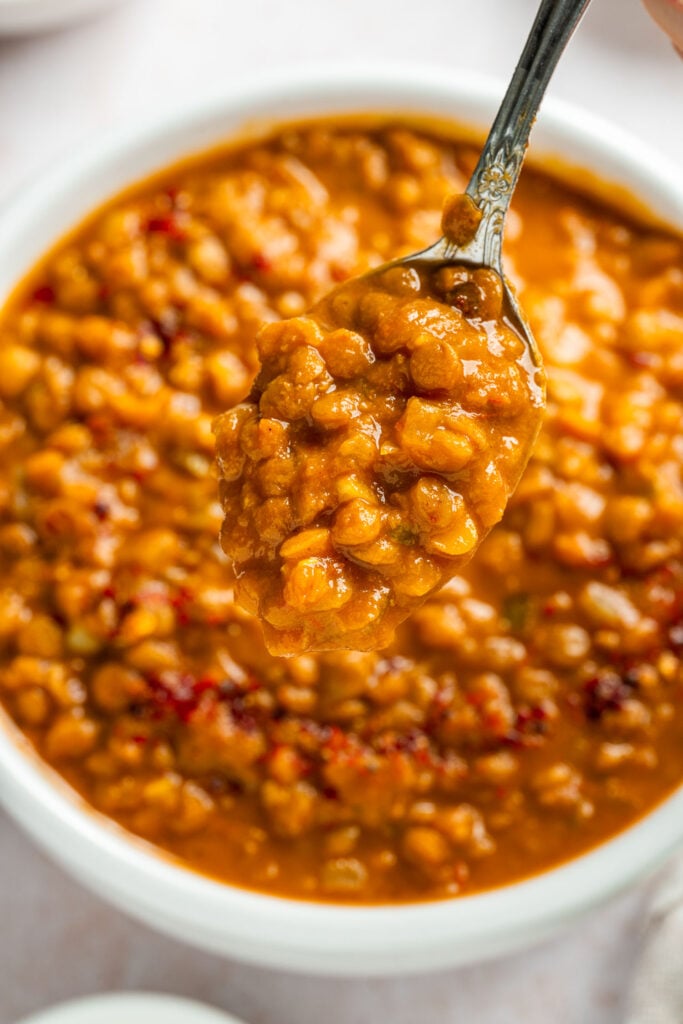 closeup of a spoonful of lentil curry