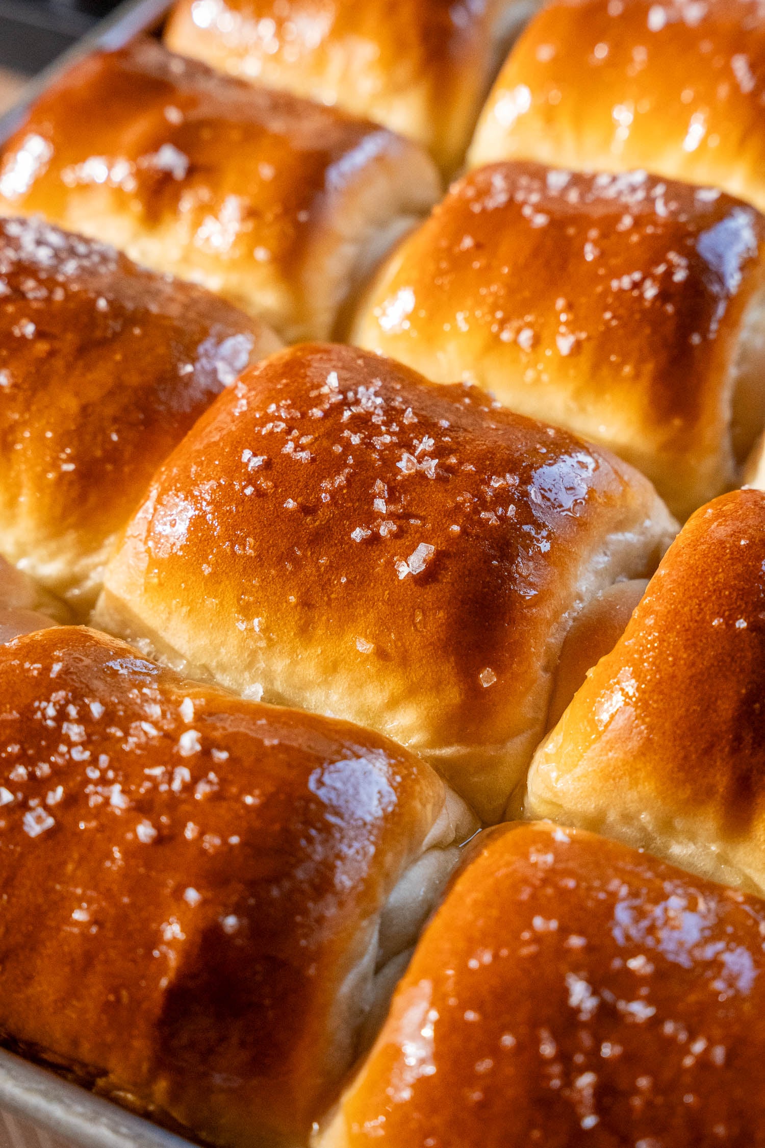 golden vegan milk bread style dinner rolls