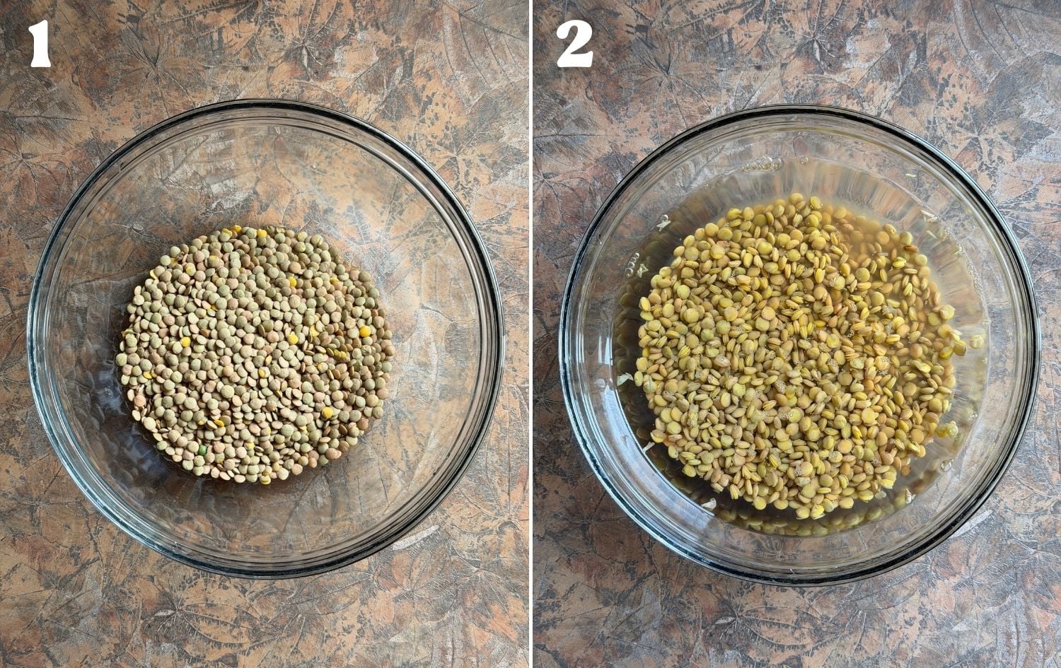 green lentils in a bowl, before and after soaking in boiling water to soften