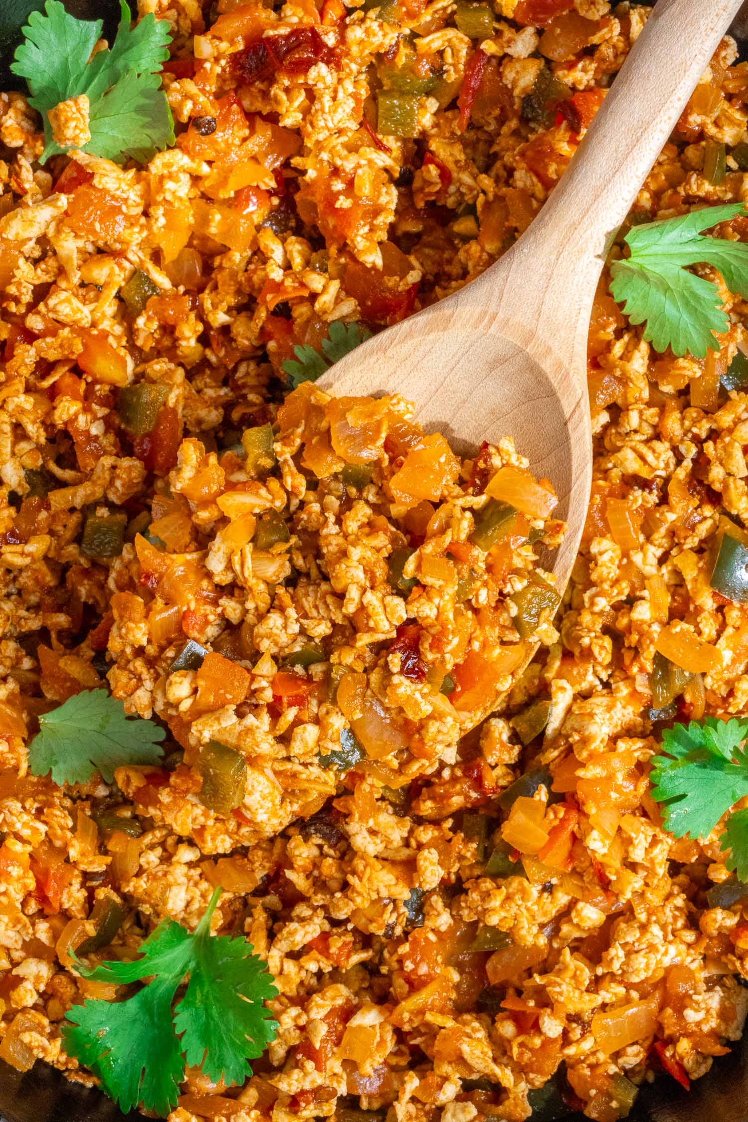 a big serving spoon of sofritas