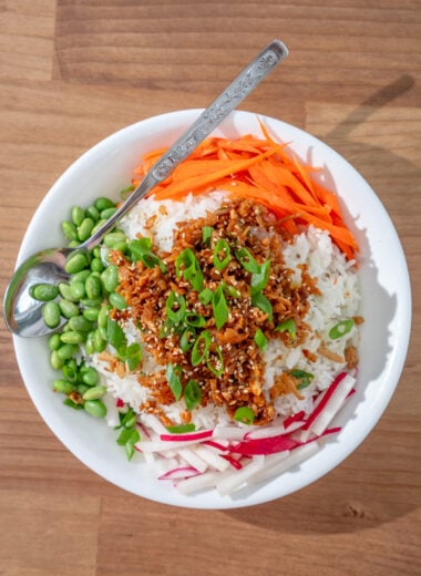 overhead shot of rice, tofu bulgogi, carrot, edamame, radish, and sliced scallions
