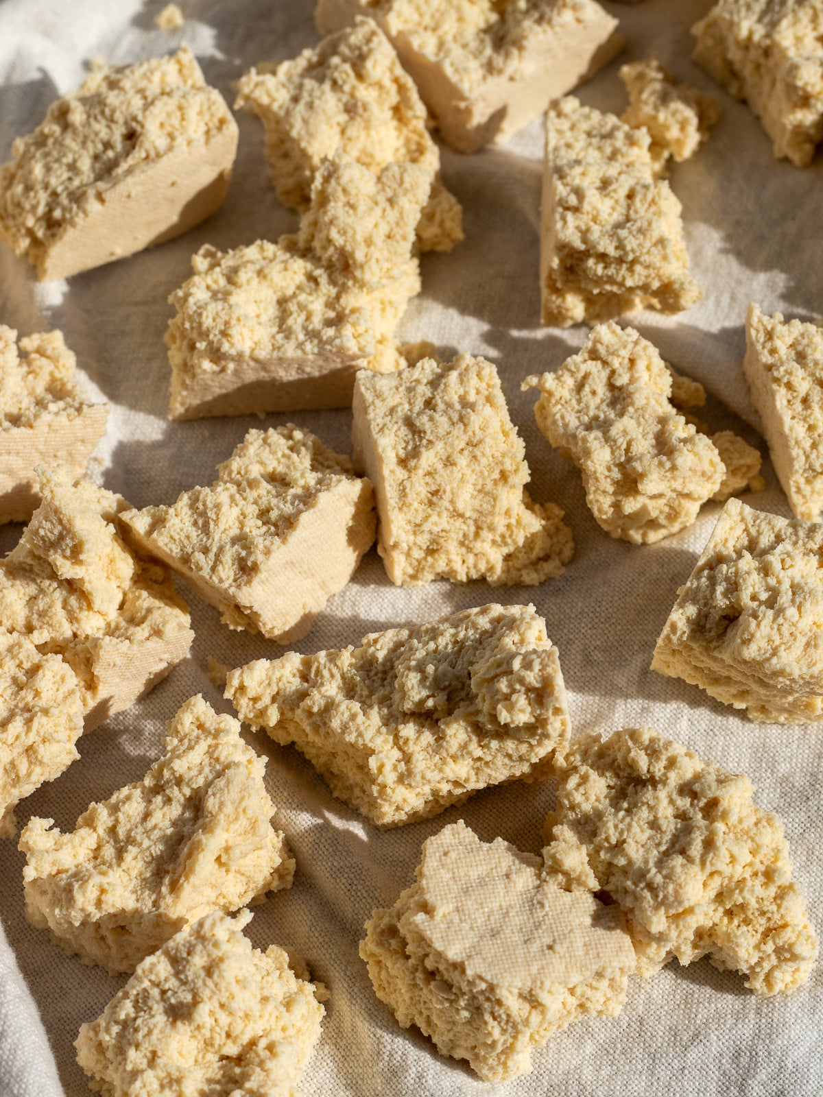 closeup of torn pieces of tofu